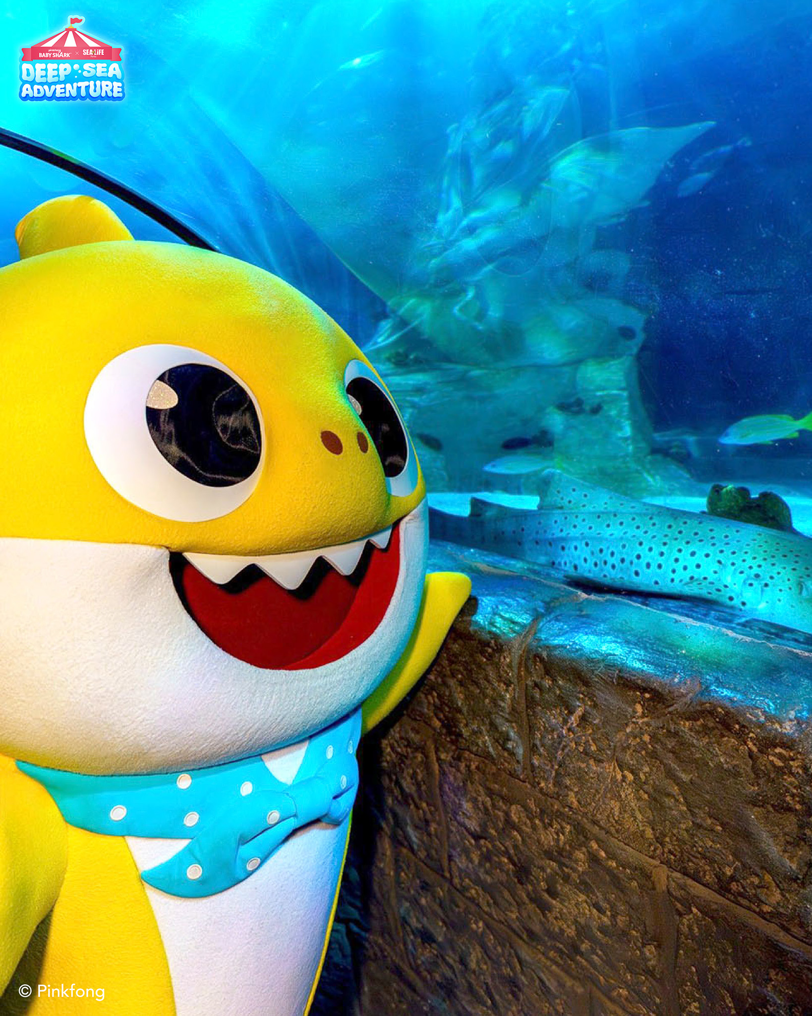 Baby Shark SEA LIFE Porto campaign